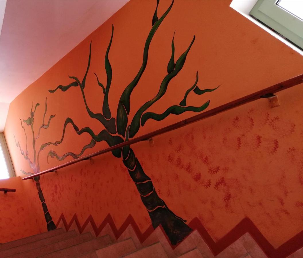 B&B Salinas Boa Vista Wifi Free Sal Rei Zewnętrze zdjęcie